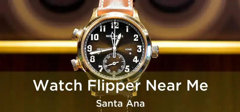 Watch Flipper Near Me Santa Ana